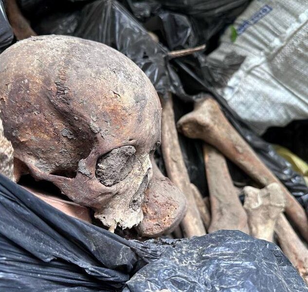 Скандал у Києві: знайдено 10 тон людських кісток