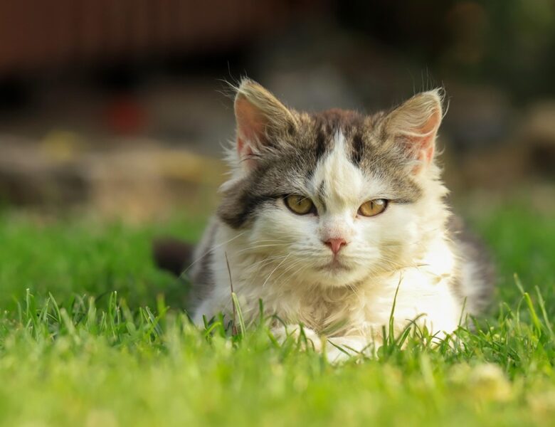 Свята 15 травня 2025 року: іменини, прикмети