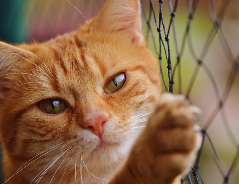 Свята 22 травня 2025 року: що не модна робити в цей день