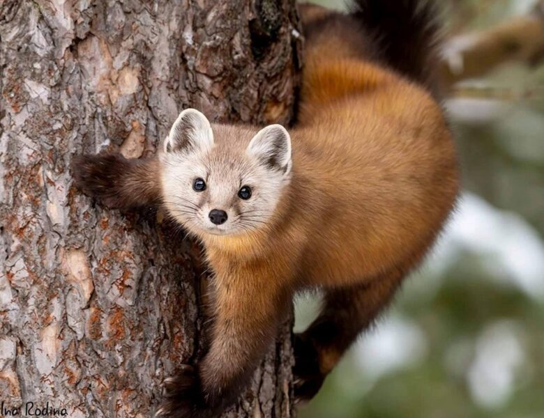 Свята 23 травня 2025 року: що не можна робити в цей день