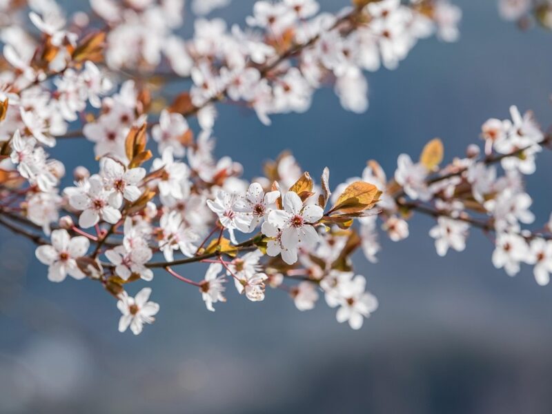 Свята 6 травня 2025 року: іменини, прикмети