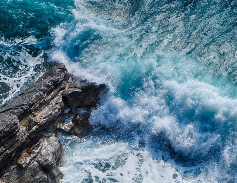 Темніючий океан: за 20 років зменшилася зона життя для морських організмів