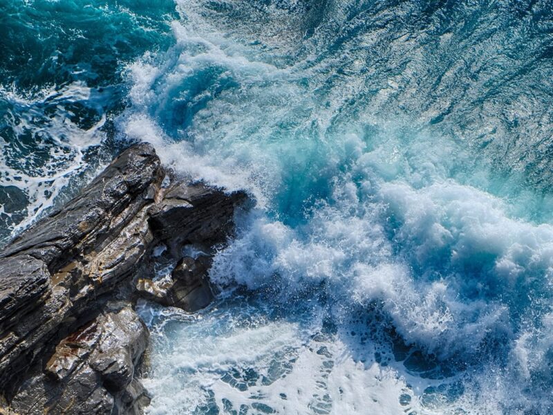 Темніючий океан: за 20 років зменшилася зона життя для морських організмів