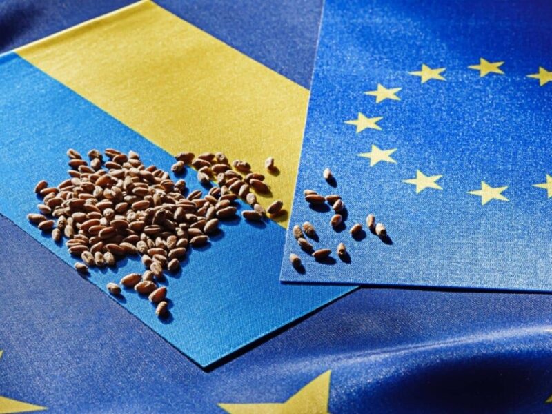 “Торгівельний безвіз” з ЄС завершується, і ось головні небезпеки