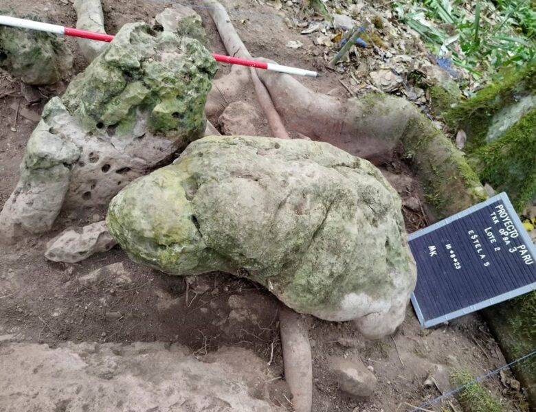 У джунглях Гватемали знайшли місто мая віком майже 3 тисячі років