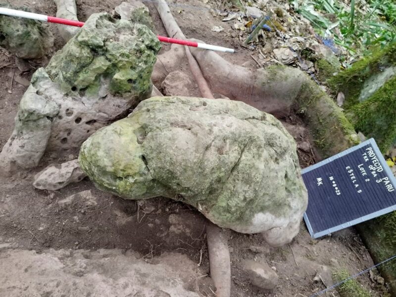 У джунглях Гватемали знайшли місто мая віком майже 3 тисячі років