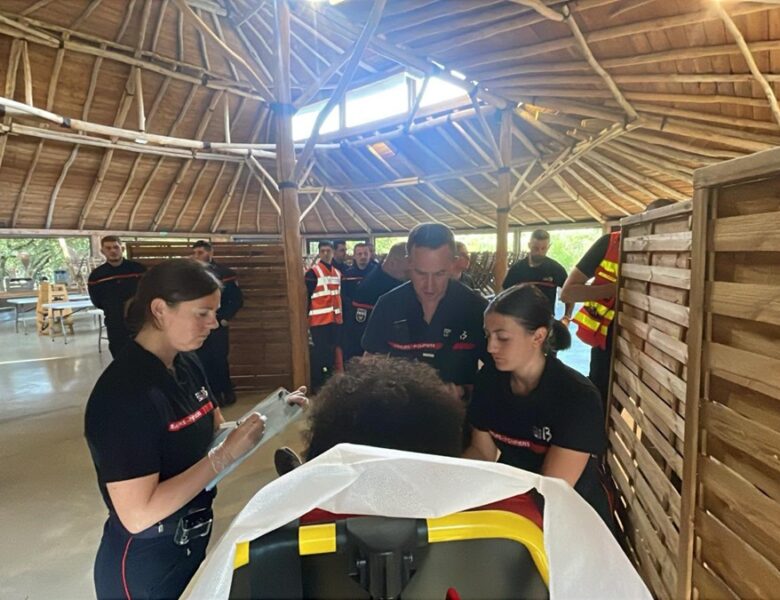 У Франції блискавка влучила у зоопарк: постраждали 13 людей