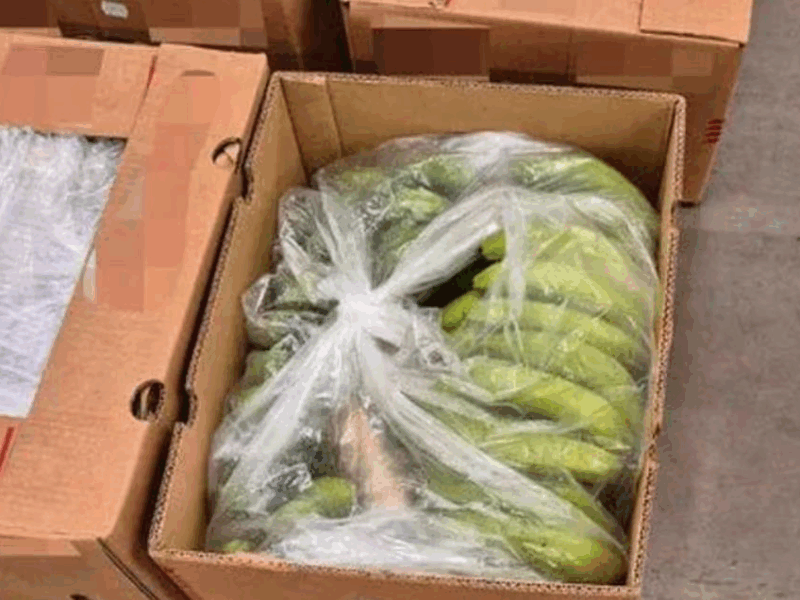 У Норвегії вилучили найбільший за два роки вантаж кокаїну у бананах