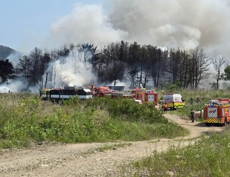 У Південній Кореї розбився військовий літак