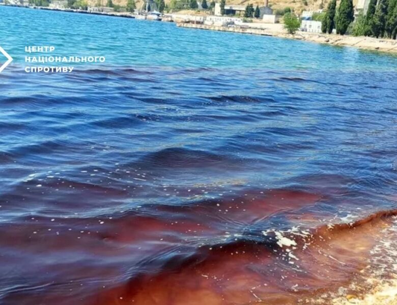 У Севастопольській бухті масово гинуть дельфіни через злив нечистот