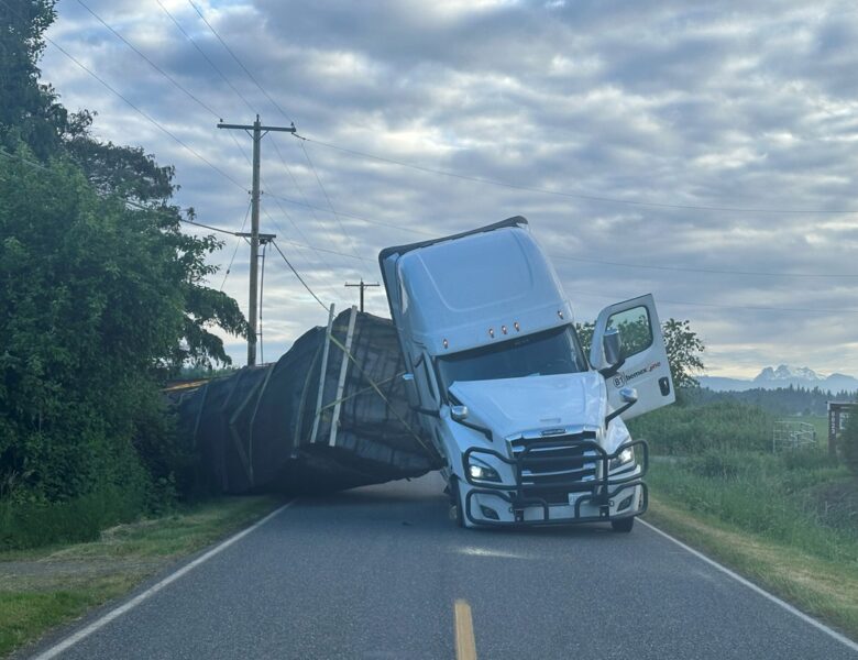 У США з фури, що перекинулася, вилетіли 250 млн бджіл