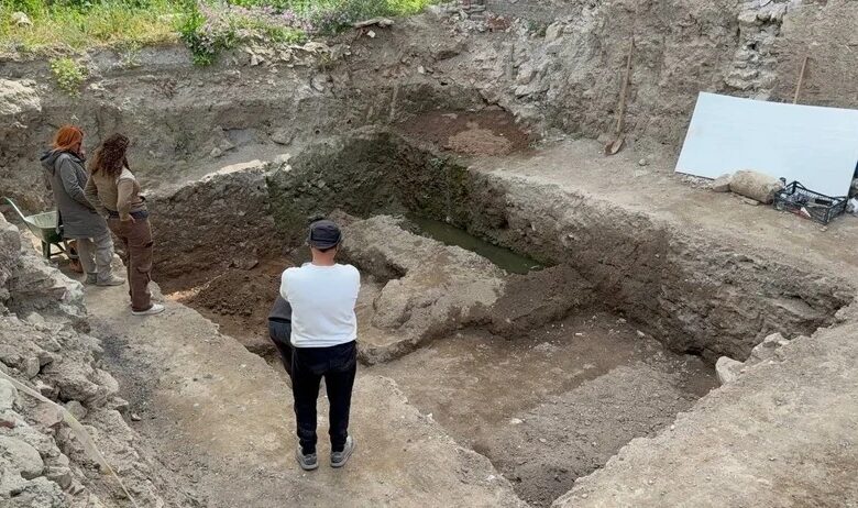 У Туреччині виявили християнську мозаїку напередодні візиту Папи Римського