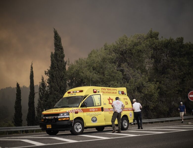 Україна запропонувала Ізраїлю допомогу у боротьбі з лісовими пожежами