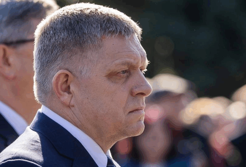 Уряд Фіцо дозволив продавати м’ясо бурого ведмедя