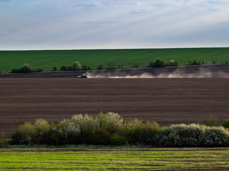 Весняна сівба: аграрії виконали 76% плану