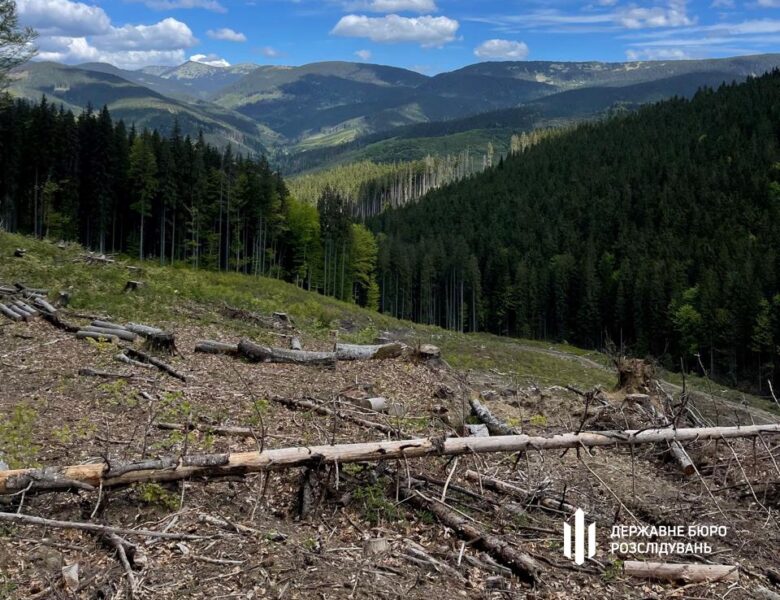 Вирубали ліс на 12 млн: на Закарпатті судитимуть групу лісників