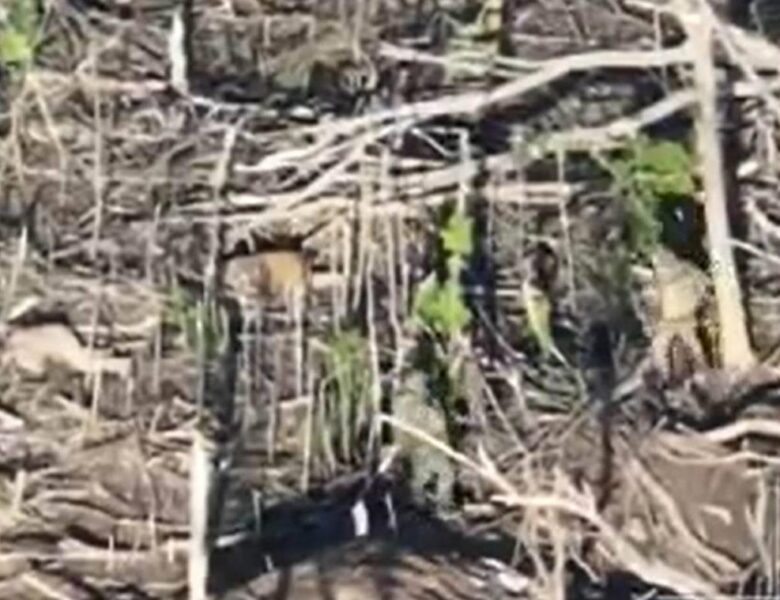 Зафіксовано 150 страт українських військових у полоні росіян – ГУР