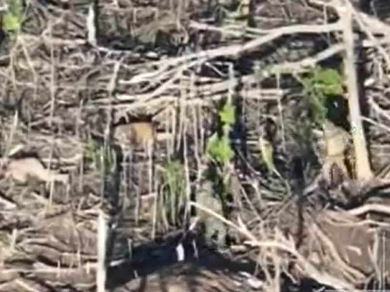 Зафіксовано 150 страт українських військових у полоні росіян – ГУР