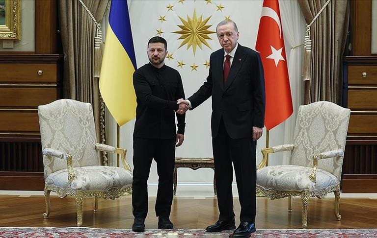 Зеленський і Ердоган розпочали зустріч в Анкарі