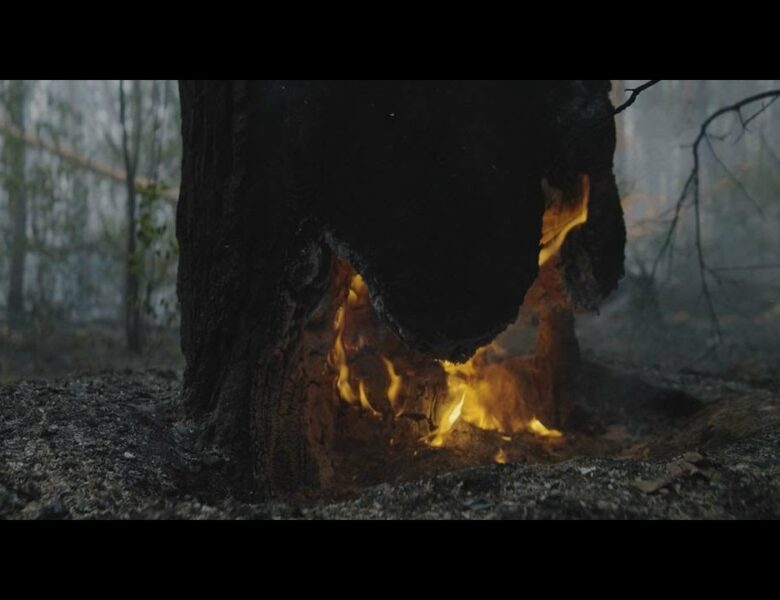 Ексклюзивні кадри: на Харківщині лісівники гасять пожежі у замінованому лісі