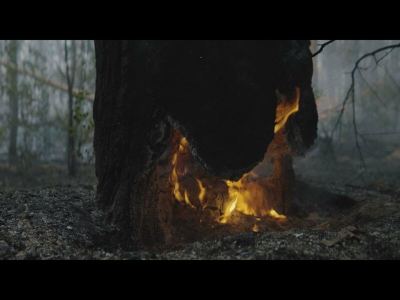 Ексклюзивні кадри: на Харківщині лісівники гасять пожежі у замінованому лісі