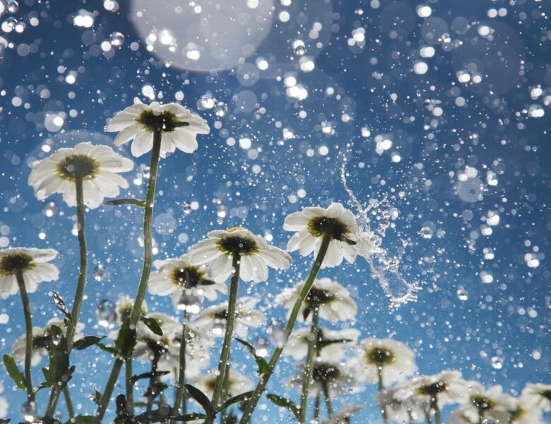 Більшість областей України накриють дощі