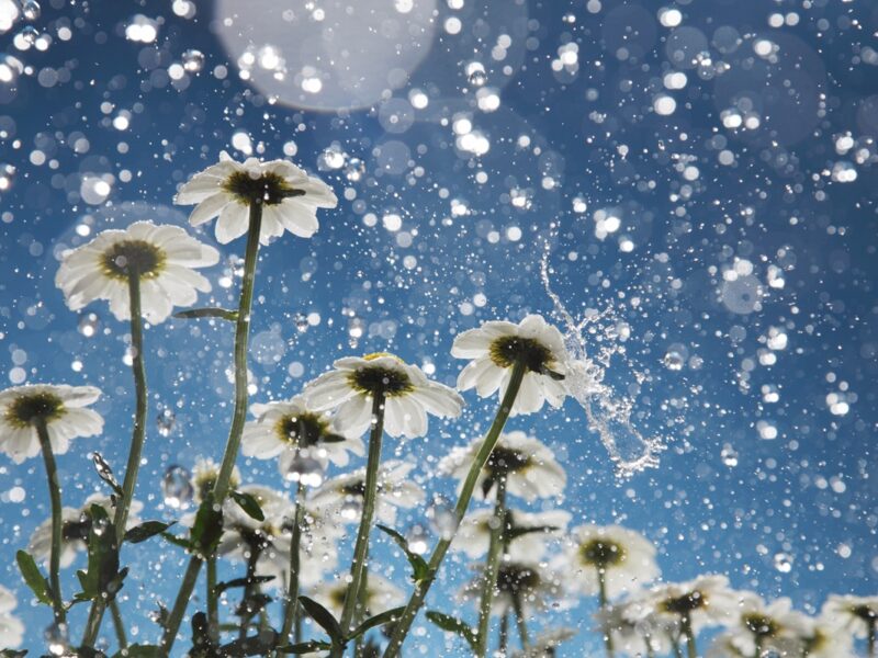 Більшість областей України накриють дощі