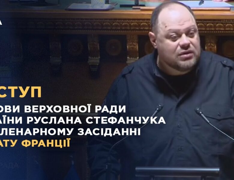 Виступ Руслана Стефанчука на пленарному засіданні Сенату Франції