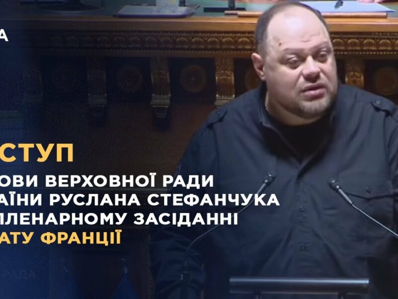 Виступ Руслана Стефанчука на пленарному засіданні Сенату Франції