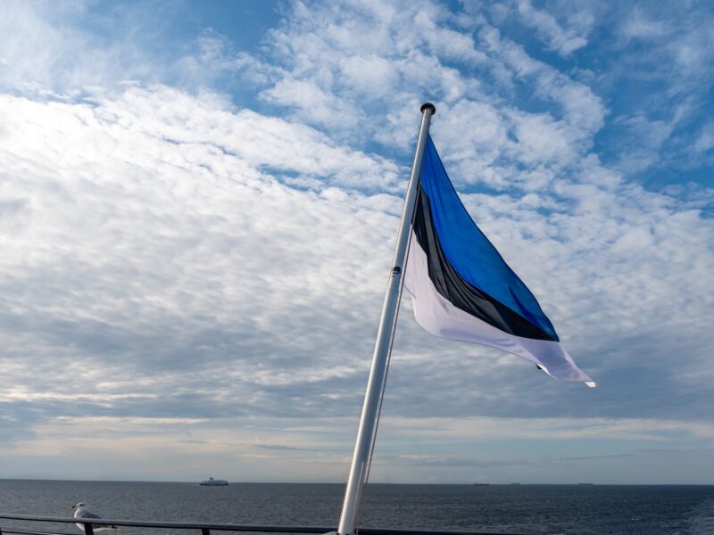 Естонія спорядила Україні нові боєприпаси