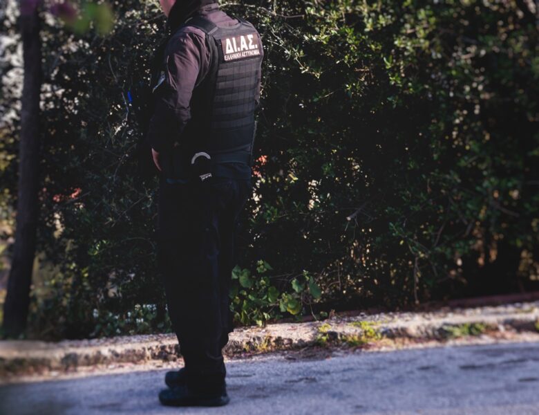 Фальшивий Пікассо і підробки Моне: у Греції викрили угруповання шахраїв