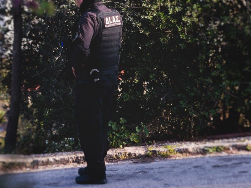 Фальшивий Пікассо і підробки Моне: у Греції викрили угруповання шахраїв