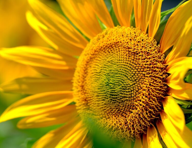 Гороскоп для всіх знаків зодіаку на 11 червня 2025 року