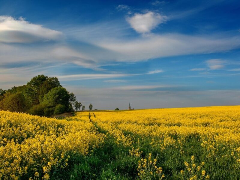 Гороскоп для всіх знаків зодіаку на 12 червня 2025 року