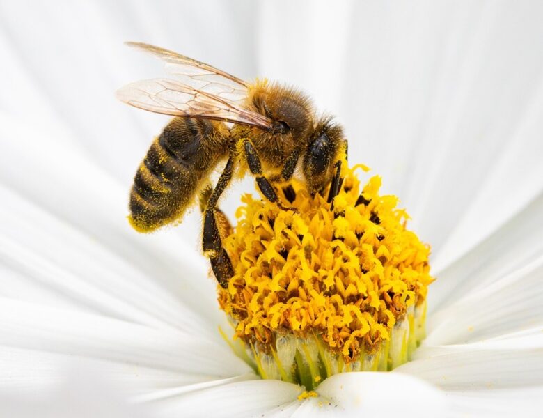 Гороскоп для всіх знаків зодіаку на 13 червня 2025 року