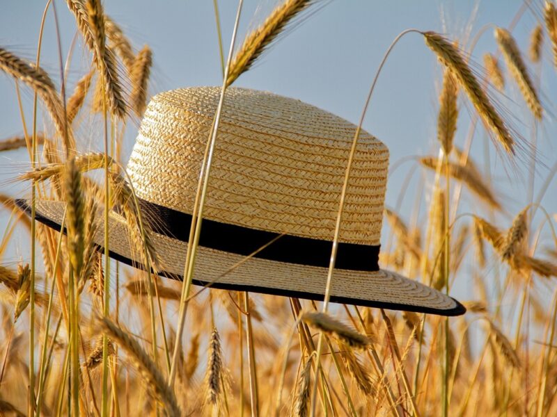 Гороскоп для всіх знаків зодіаку на 19 червня 2025 року