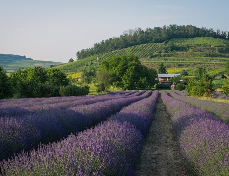 Гороскоп для всіх знаків зодіаку на 27 червня 2025 року