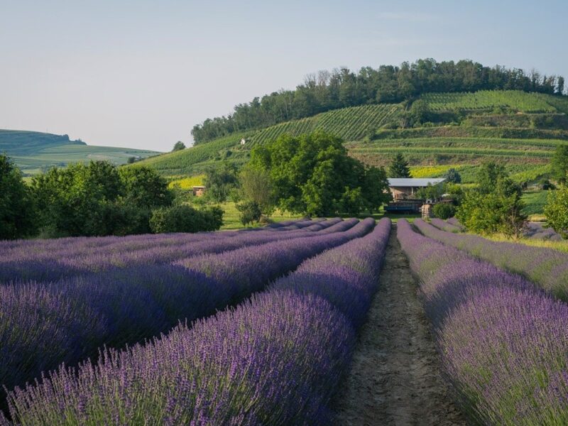 Гороскоп для всіх знаків зодіаку на 27 червня 2025 року