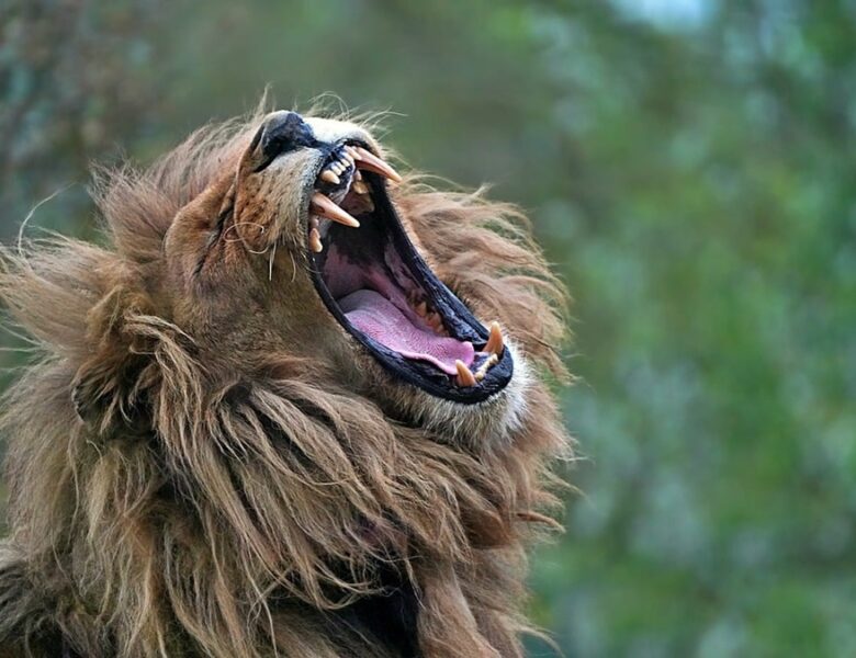 Гороскоп для всіх знаків зодіаку на 4 червня 2025 року