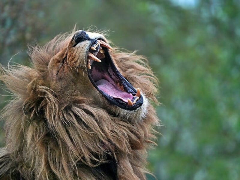 Гороскоп для всіх знаків зодіаку на 4 червня 2025 року