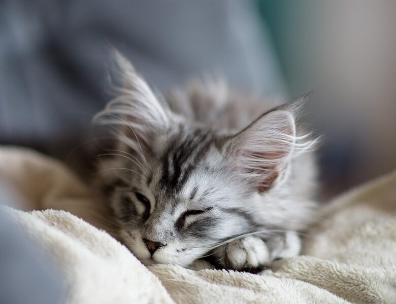 Гороскоп для всіх знаків зодіаку на вихідні 14-15 червня 2025 року