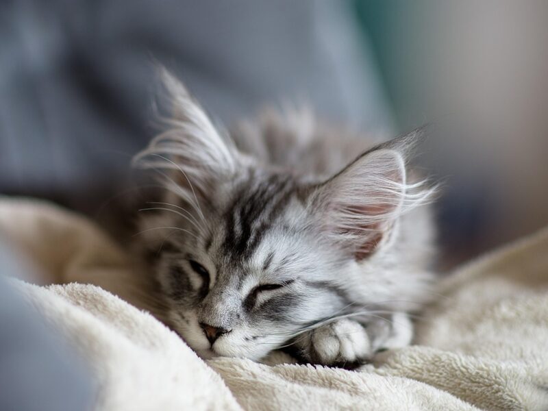 Гороскоп для всіх знаків зодіаку на вихідні 14-15 червня 2025 року