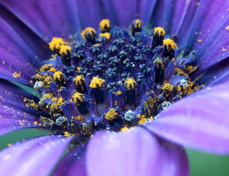 Гороскоп для всіх знаків зодіаку на вихідні 28-29 червня 2025 року