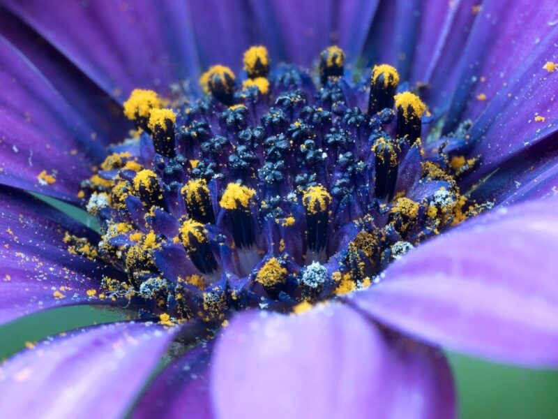 Гороскоп для всіх знаків зодіаку на вихідні 28-29 червня 2025 року