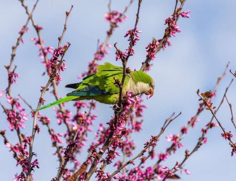 Гороскоп для всіх знаків зодіаку на вихідні 7-8 червня 2025 року