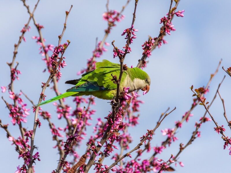 Гороскоп для всіх знаків зодіаку на вихідні 7-8 червня 2025 року