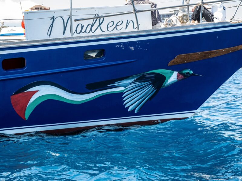 Ізраїль перехопив судно з Ґретою Тунберг – ЗМІ