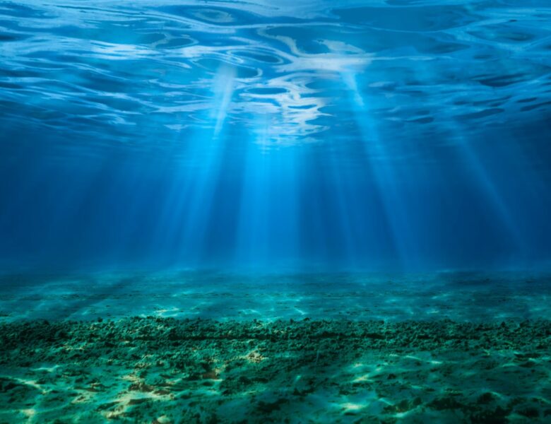 Кислотність океану сягнула критичних рівнів: під загрозою цілі екосистеми