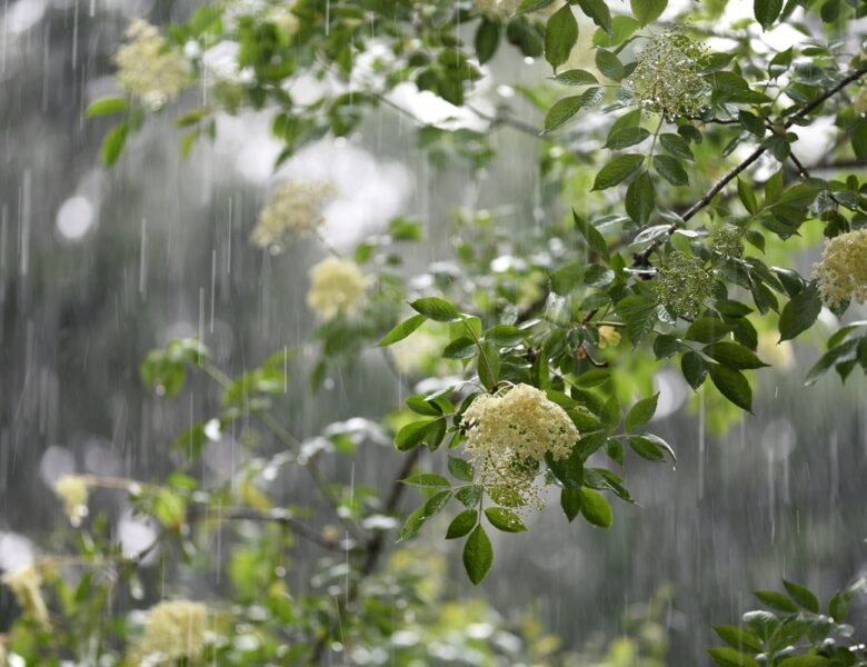 Короткочасні дощі охоплять більшість регіонів на вихідні