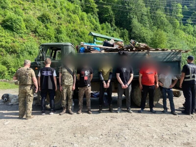Кози, свині й ухилянти – на Закарпатті викрили схему перевізників